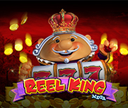 Reel King Mega